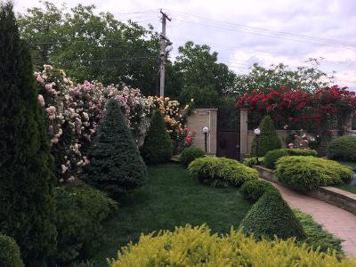 Прикрепленное изображение: IMG_9230.jpeg